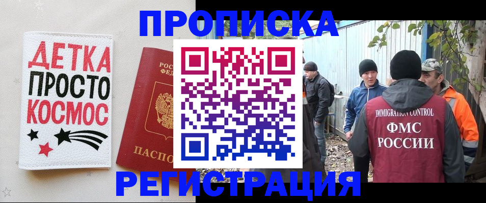 прописка поиск в Палласовке